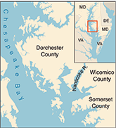 Nanticoke River. Credit: Sandy Rodgers and iStockphoto.com